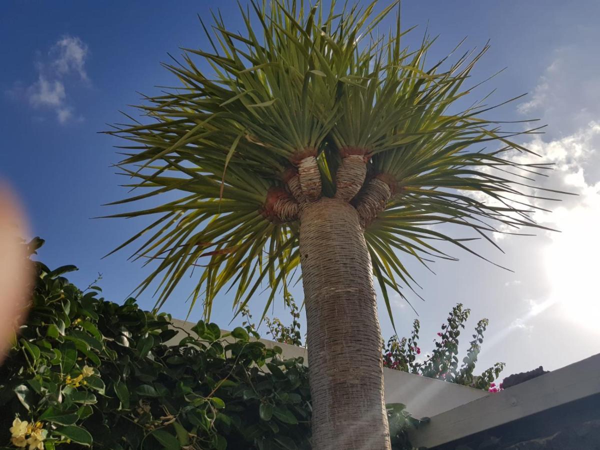 Villa Fenix Puerto del Carmen  Kültér fotó